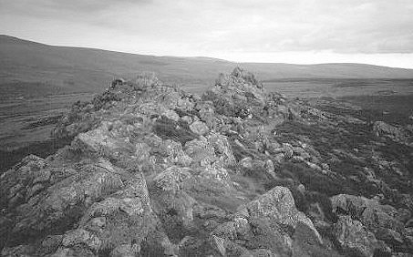 The summit rocks of Mynydd Carningli