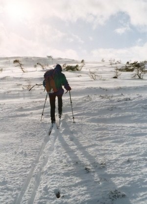 On Beinn Aigan (photo: Andy Walker)