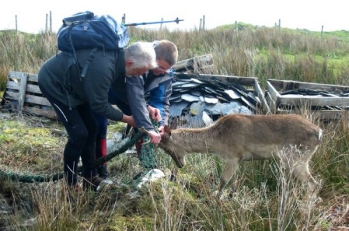 Iain Brown and David Dale go antler-fondling (photo: Alan Courtney)