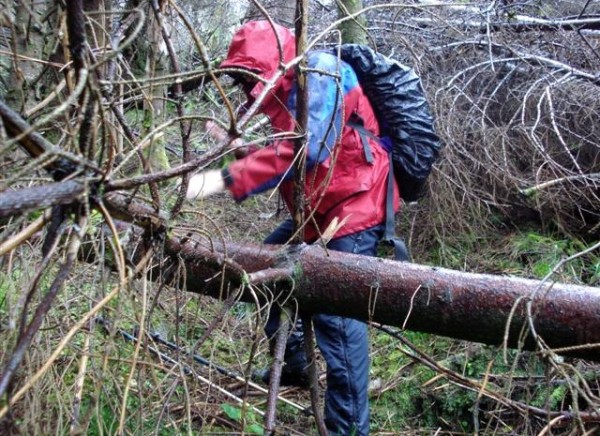 Some fine hillwalking on Beinn Lochain (photo: Audrey Litterick)