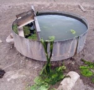 Would you drink from here? We did (photo: Brian Dickson)