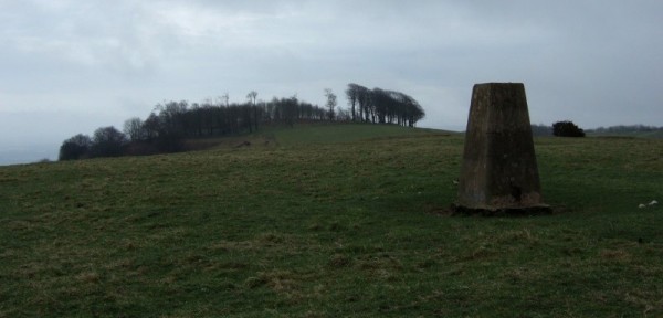 Chanctonbury Hill trig, with the ring beyond (photo: Alan Dawson)
