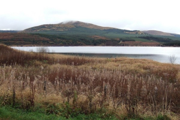 Meikle Bin from the north (photo: Alan Dawson)