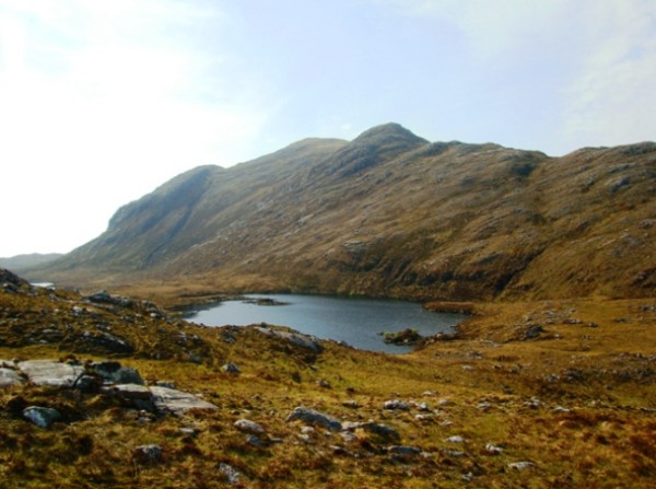 Caiteseal (photo: Dave Beaumont)