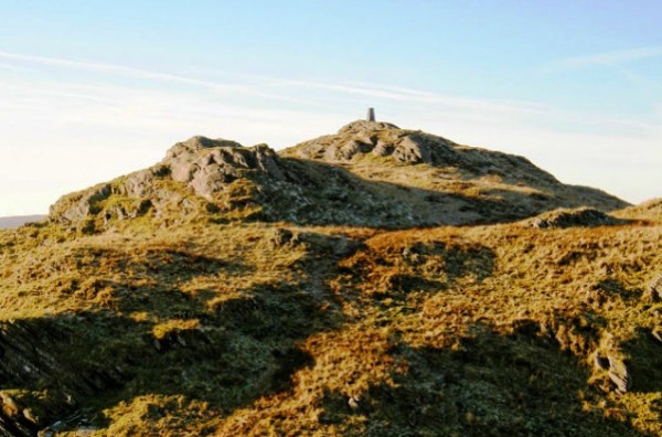 Caw (photo: Jim Fothergill)