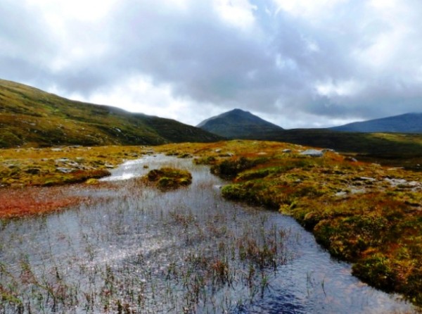 Meall an Fheur Loch with Meallan a'Chuail (photo: Martin Cole)
