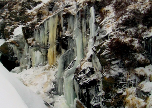 Arctic conditions (photo: Martin Richardson)