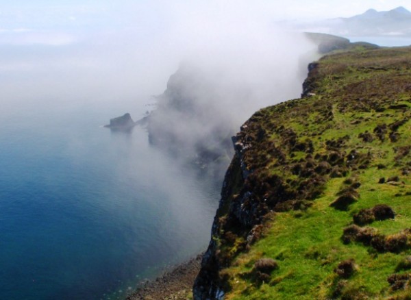 Canna (photo: Martin Richardson)