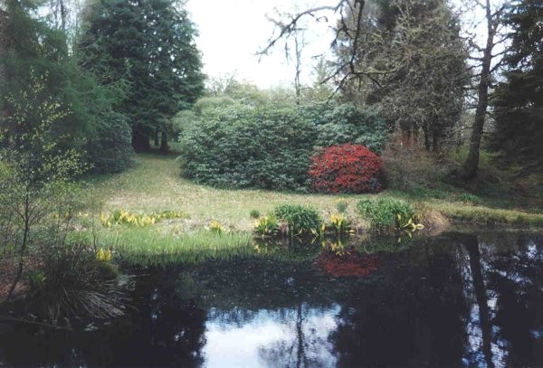 Angus Garden, Argyll and Bute (photo: Val Hamilton)