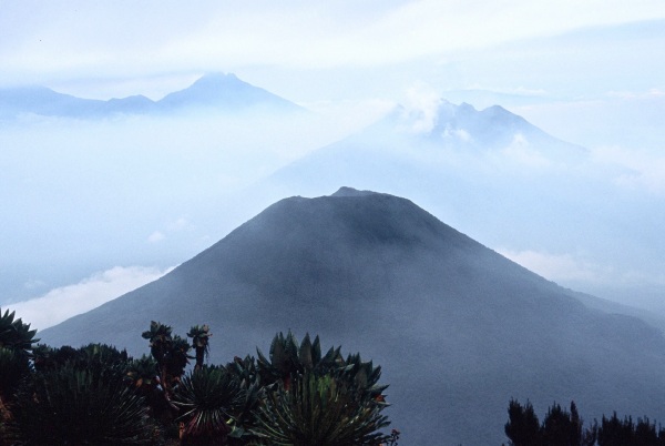 Mgahinga from  Mount Muhabura (photo: Jonathan Appleby)