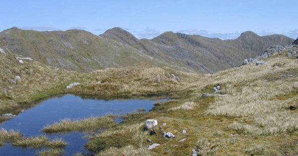 Streap (photo: Trevor Littlewood)