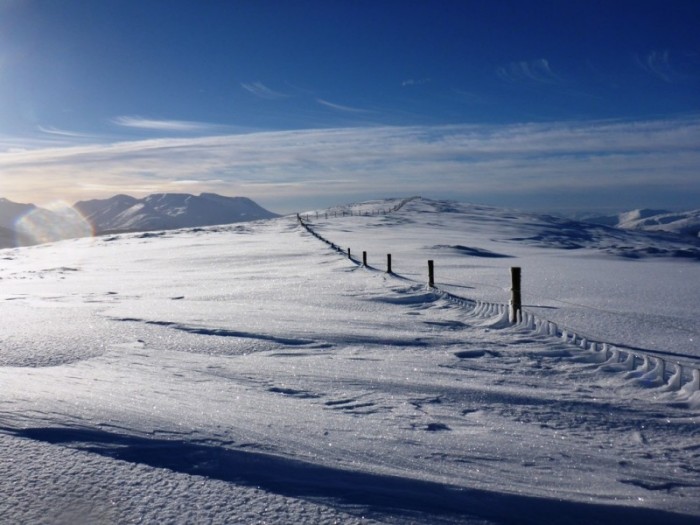 Glen Roy (photo: Martin Richardson)